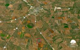 15798769-16