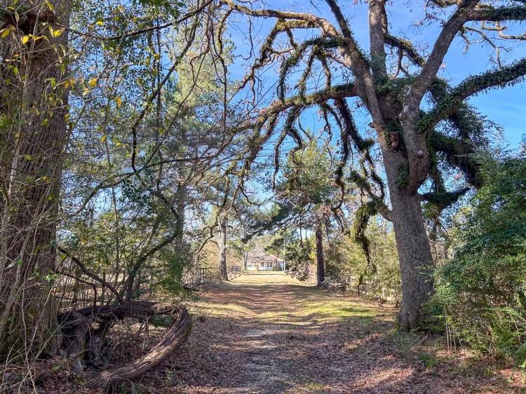 55 Acres | 1469 Stubblefield Road