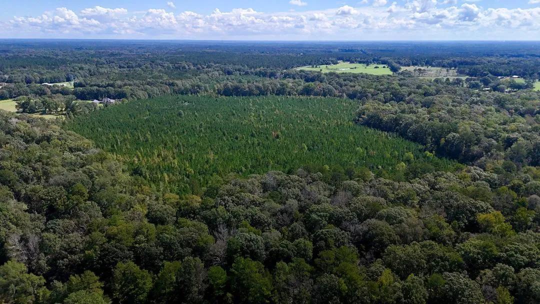 117 AC County Line Road Pic 1