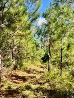 117 AC County Line Road Pic 10