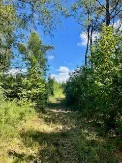 117 AC County Line Road Pic 11