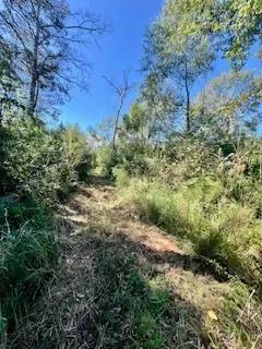 117 AC County Line Road Pic 12