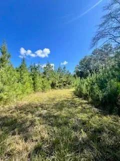 117 AC County Line Road Pic 13