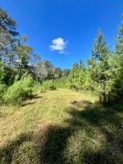 117 AC County Line Road Pic 15