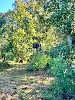 117 AC County Line Road Pic 17