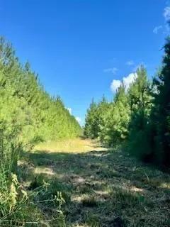 117 AC County Line Road Pic 18