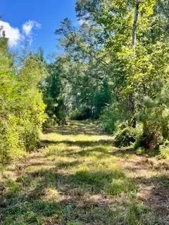 117 AC County Line Road Pic 19