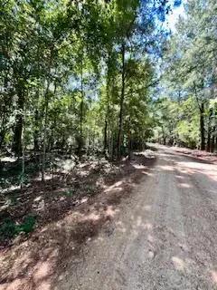 117 AC County Line Road Pic 20