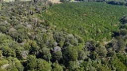 117 AC County Line Road Pic 3