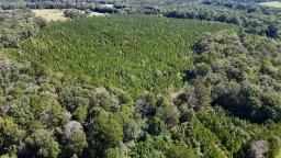 117 AC County Line Road Pic 4