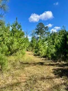 117 AC County Line Road Pic 8