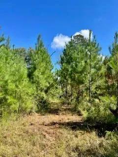 117 AC County Line Road Pic 9