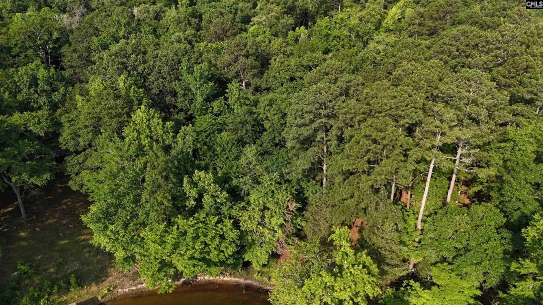 0.7 Acres of Land for Sale in Ridgeway, SC