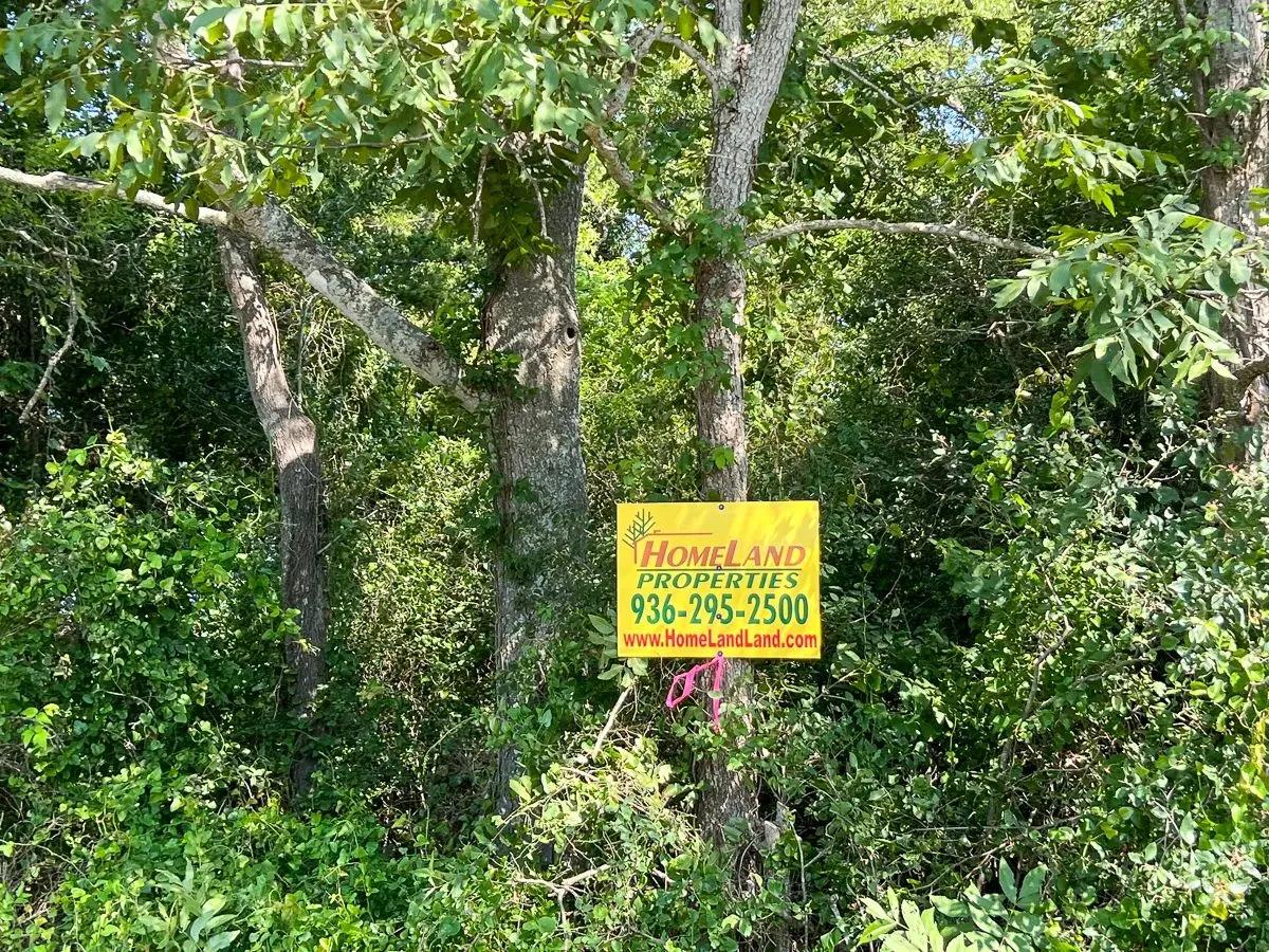 15922838-14
