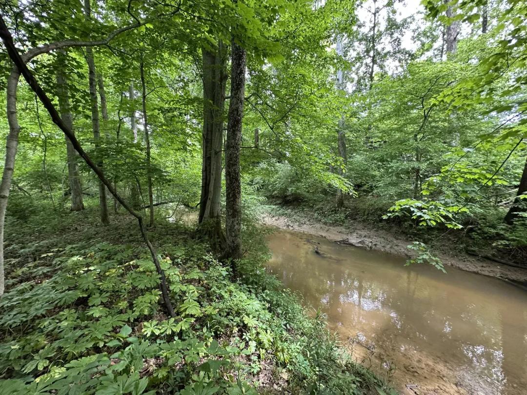 "Turman Creek 8 – 7.65 Acres of Timber, Creek Frontage, Food Plot Potential & Outstanding Wildlife Habitat in Vigo County, IN