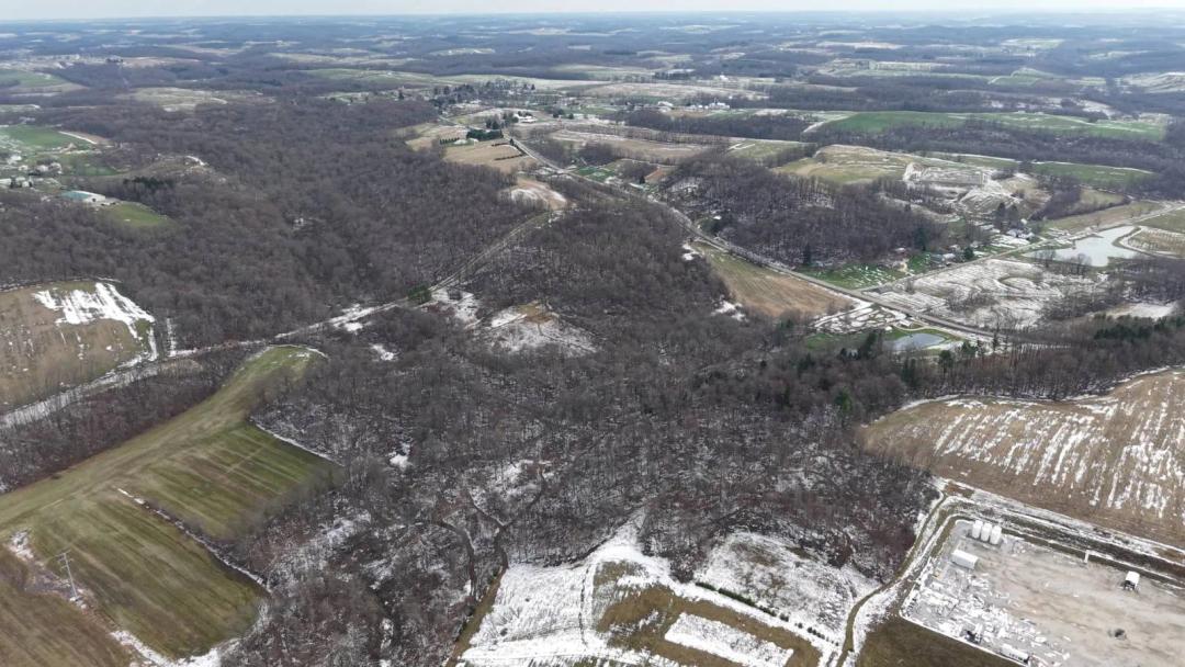 Land for sale in Carroll County | Excellent Hunting Property