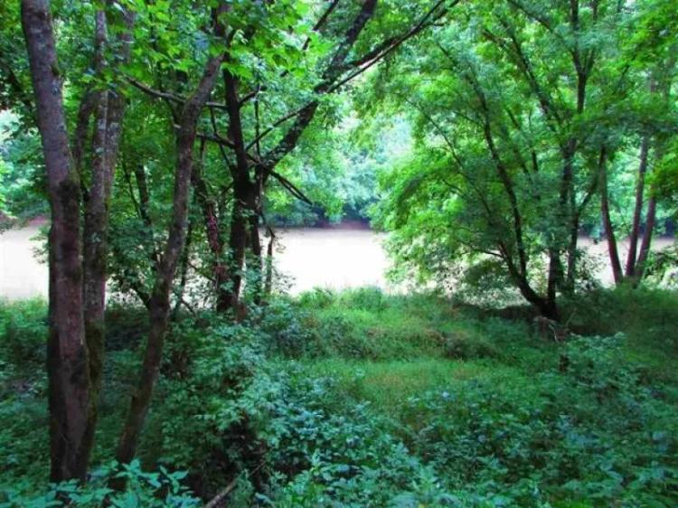 East Tennessee Riverfront Property for Sale Eidson, TN 37731