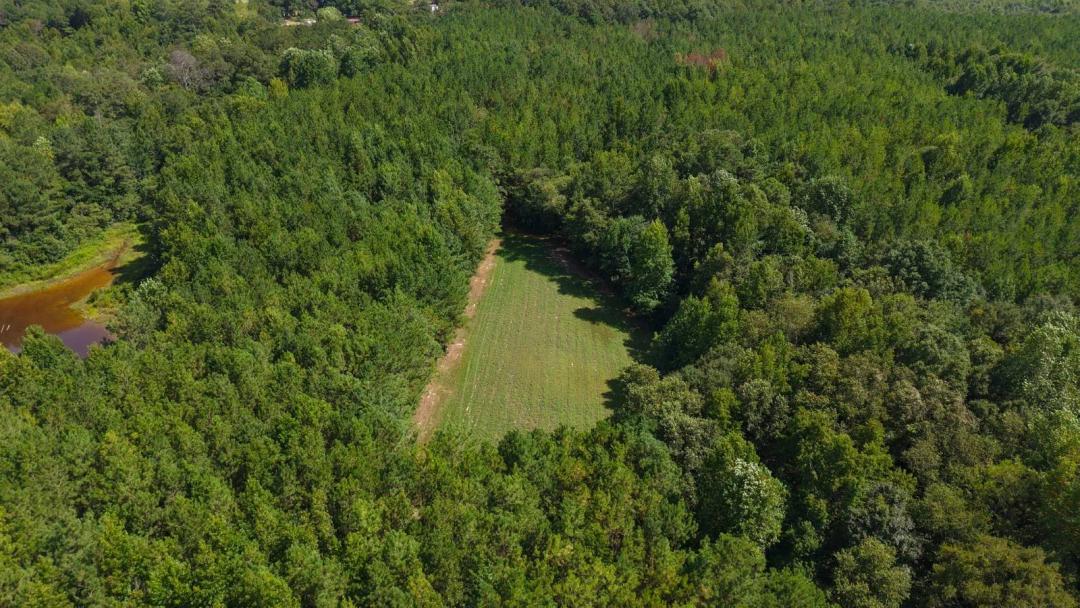 Hunter's Paradise in North Crenshaw County