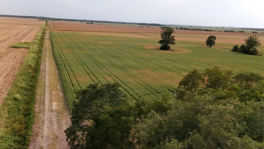 20 Acres in Tallahatchie County, MS 