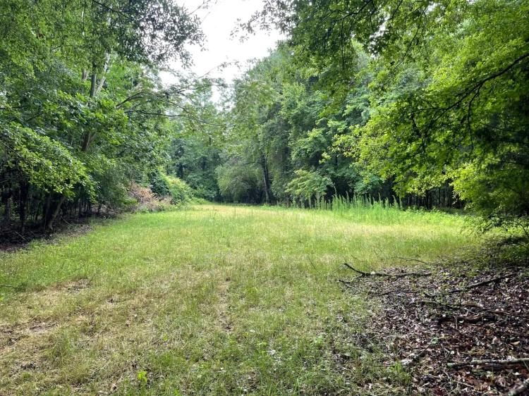 140 +/- ac on Luke Paschal Rd