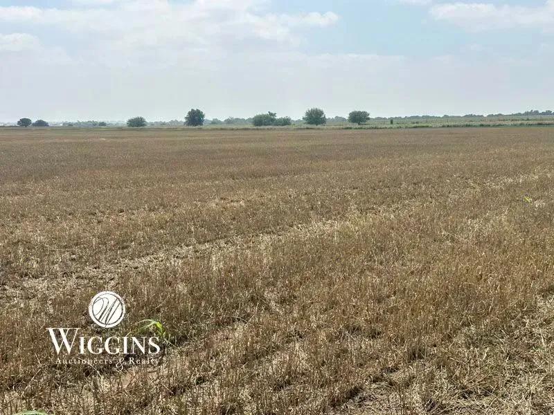 7/15 - 160 +/- Acres | Good Sm. Grain/Livestock Land | Rural Homesite & Out-Bldgs.    Bison/Hennessey Area, Garfield Co., OK  