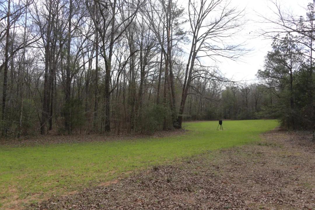 Hunting/Timberland Near Prattville