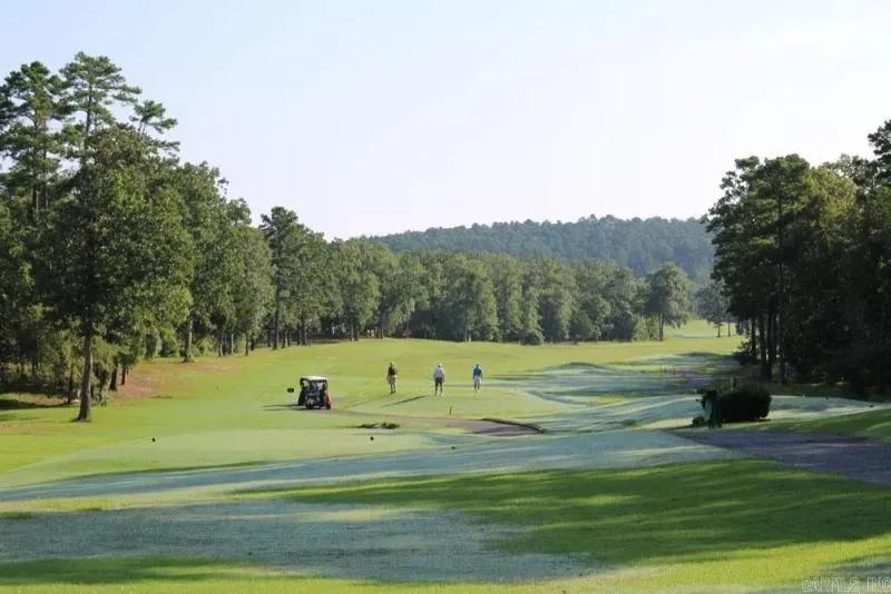 Breathtaking 0.24-Acre Residential Haven – Saline County, Arkansas 
