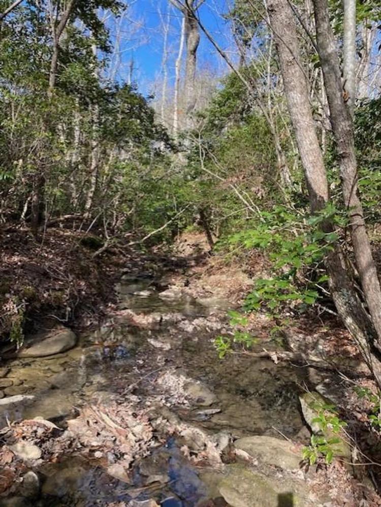 5.28+/-acres Wooded Property near Fall Creek Falls