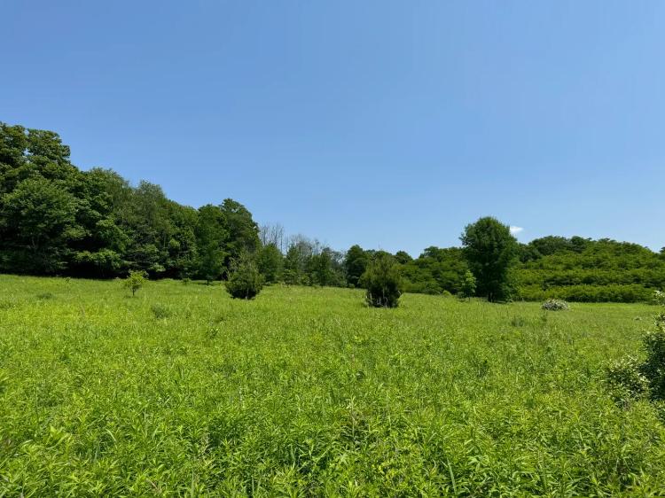 Southern Tier Building Lot
