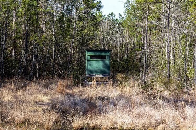 1865 N Hwy 326, Kountze, Texas, 77625 Hardin County