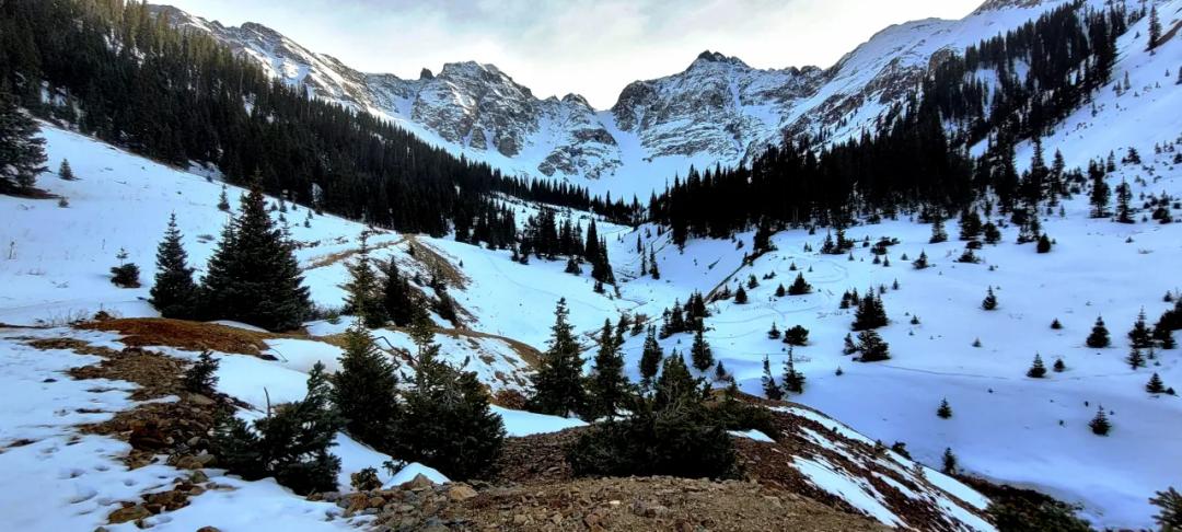 Colorado - San Juan Mountains - Land - Trees - Old Mine Tailings - Orleans Patented Millsite