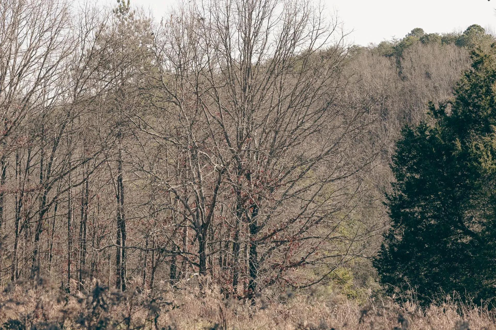 16210983-18
