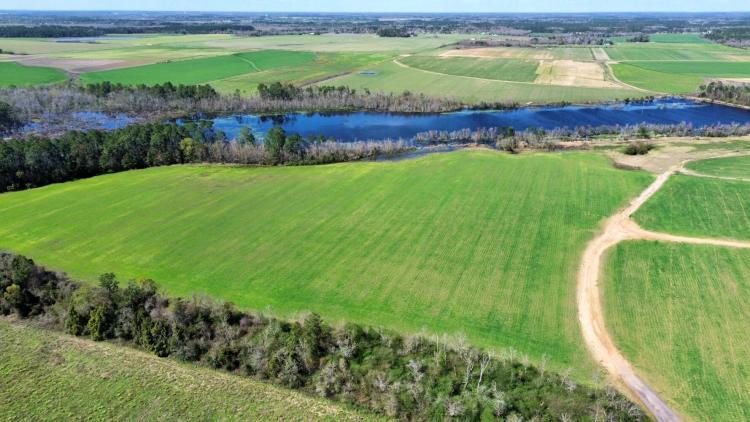 40.00 Acres at 0 Pastoral Lane