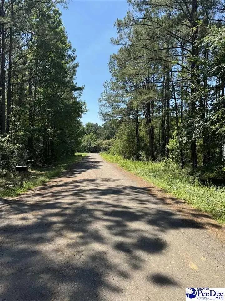 0.33 Acres of Land for Sale in Andrews, SC