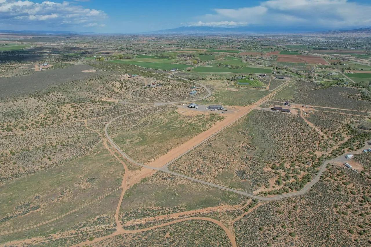 16273697-42
