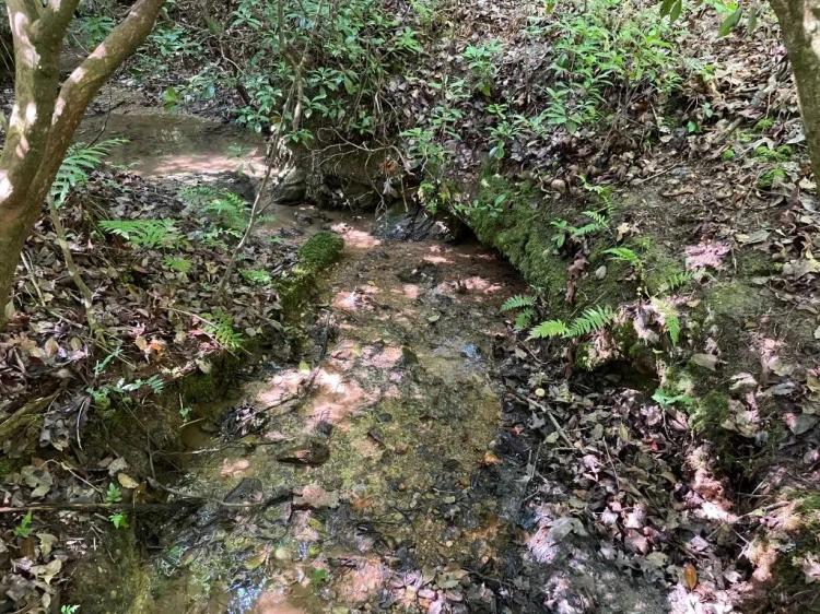 +/- 23.53 Acres – Tract 7 on Whitewater Point Road in Tamassee, SC