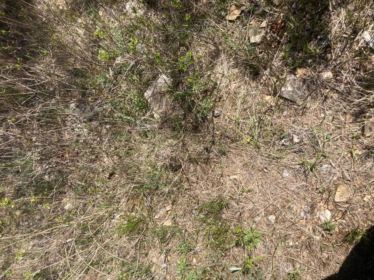 16299815-15