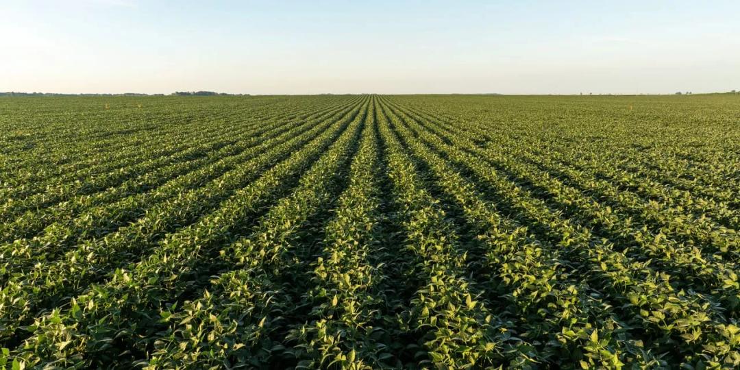 Listing #19434 -  acres in Wood County, OH