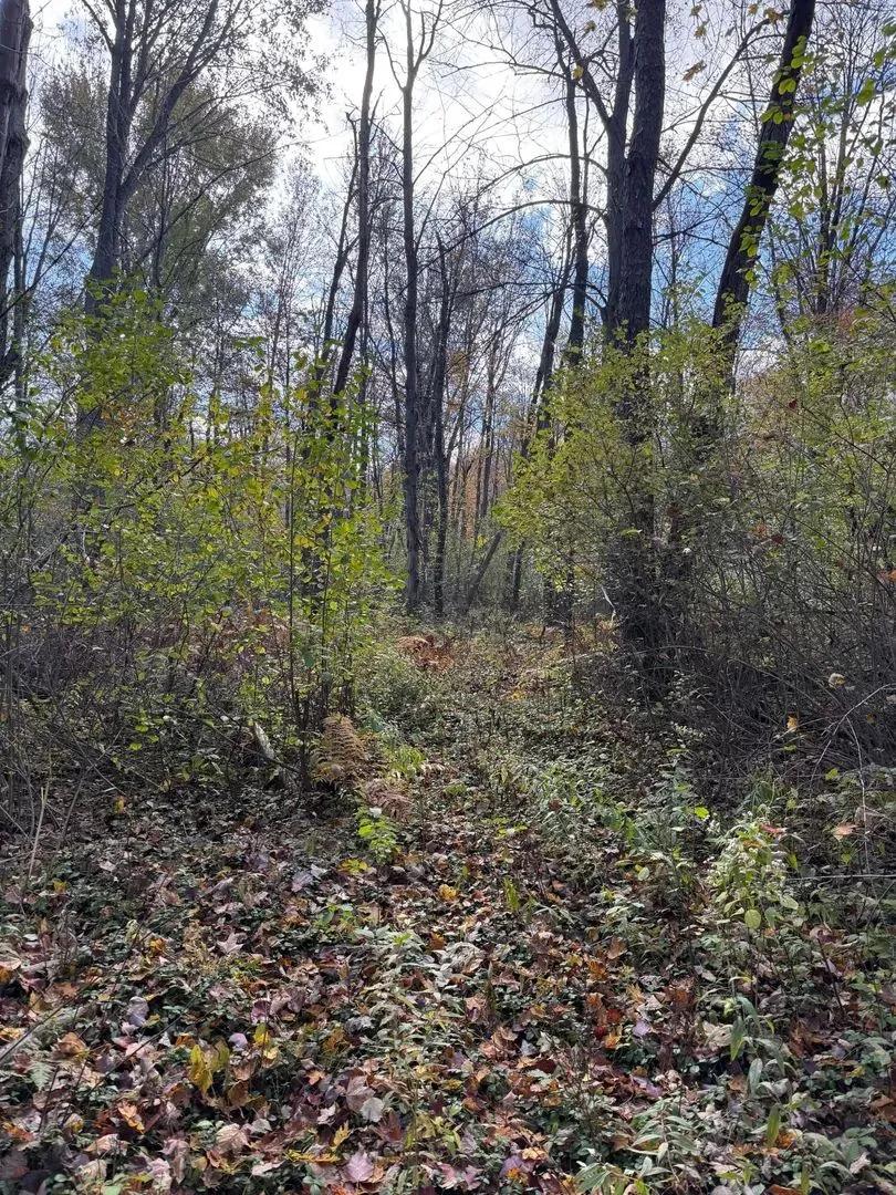 Property from Holt - KW
