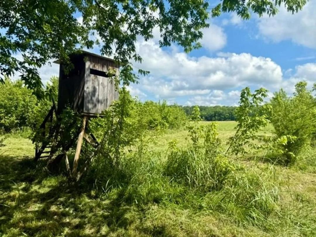 Bucksnort Cabin Tract 80, Hempstead County, AR