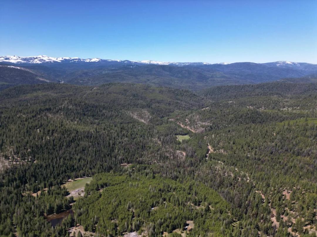 Cougar Mine