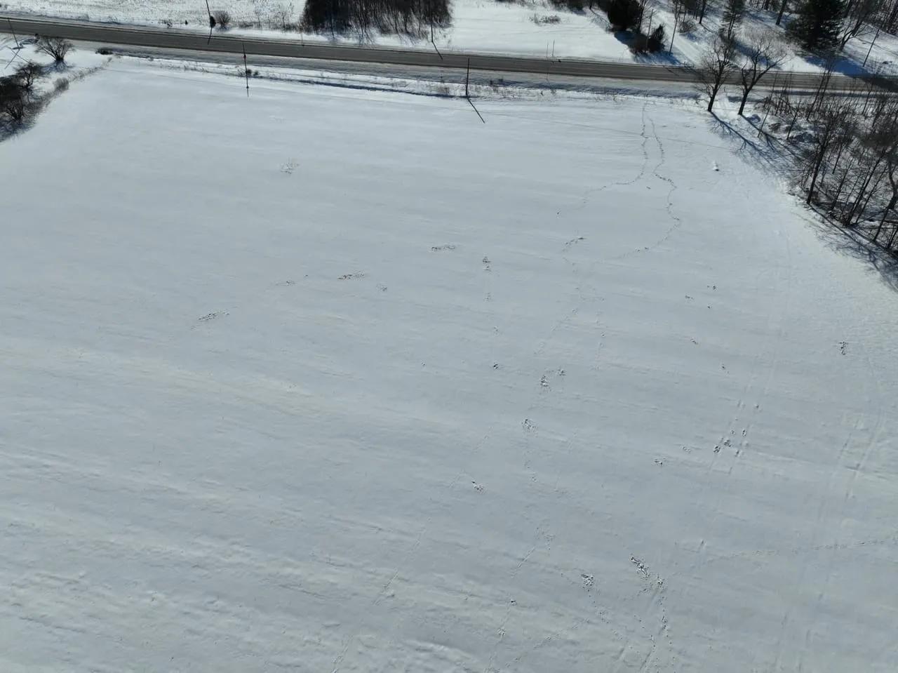 16346345-81