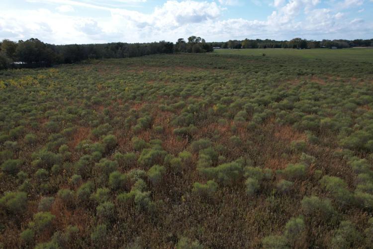 108 Acres in Franklin Parish, LA 