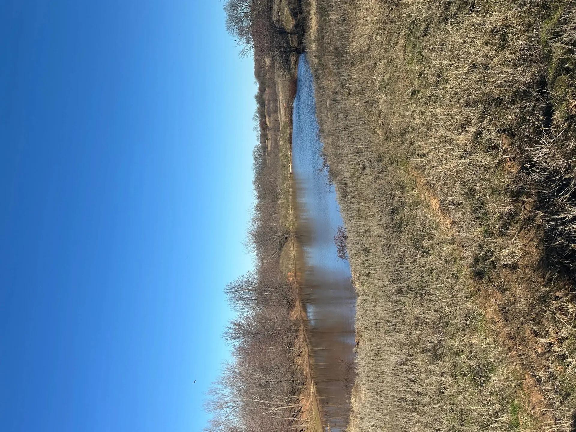 16405362-2