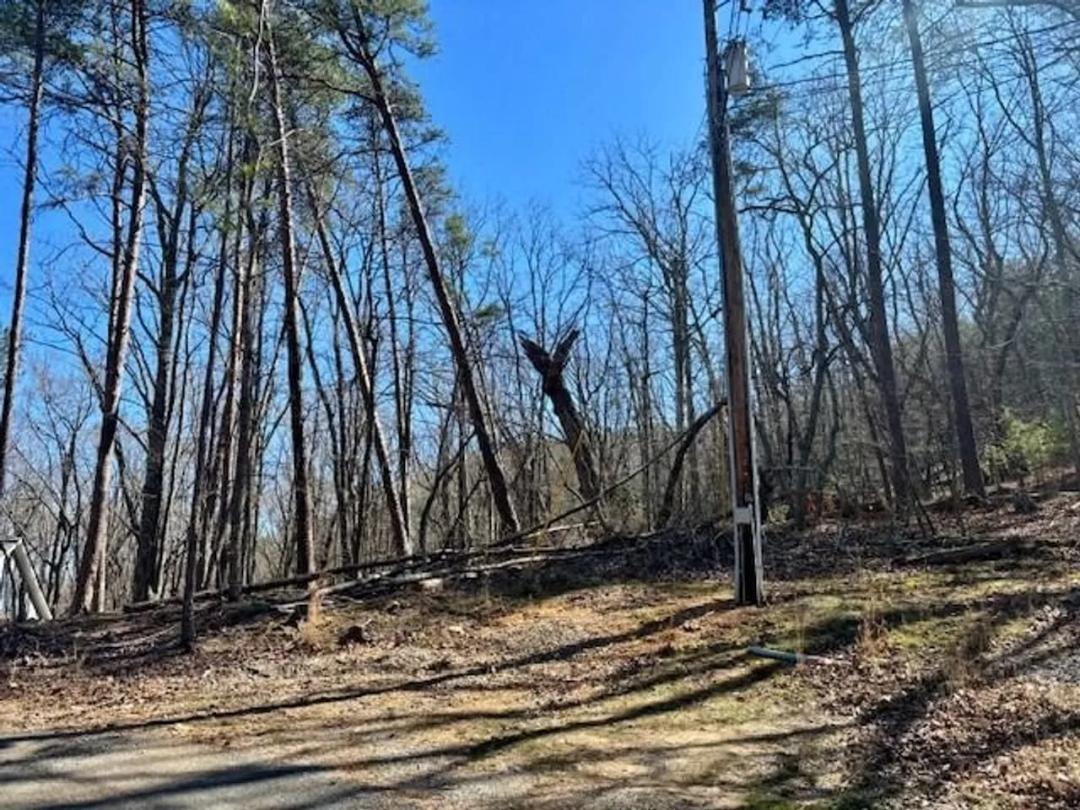 125 Gum Wood Ct, #144 Waleska, GA 30183