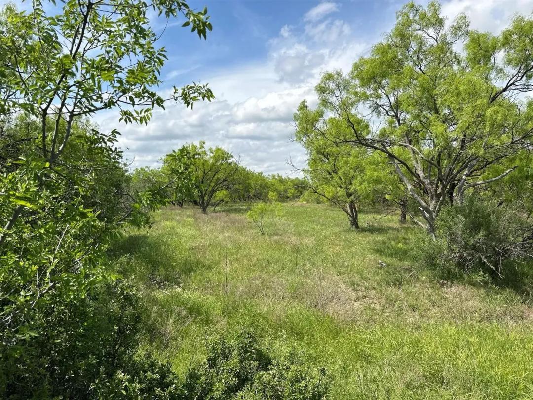 Under Contract !!! 11+/- Ac (S part Tr 19), Callahan County