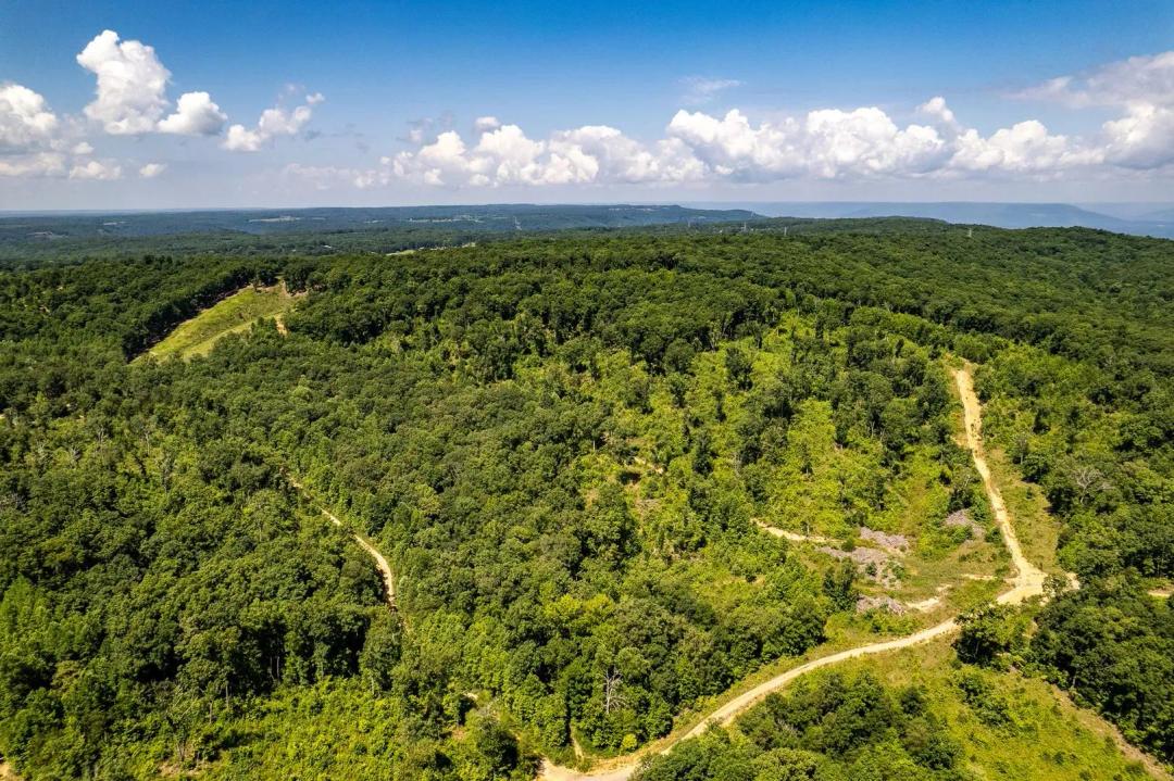 28.78± Acre Off-Grid Recreational Tract | Dade County, GA