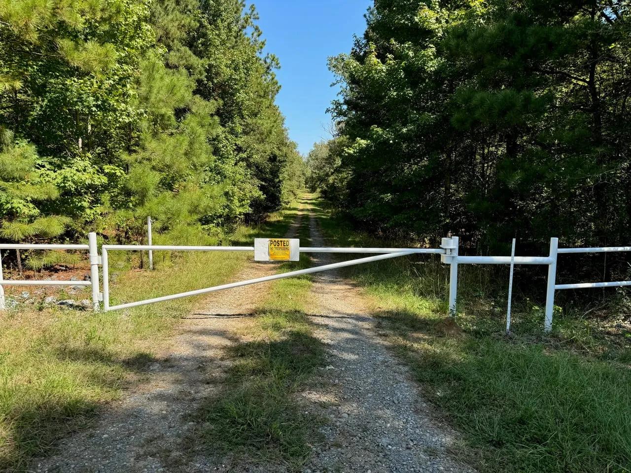 16475204-10