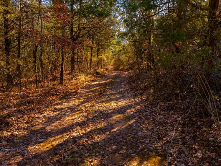 13 +/- Acres, Great place to build a home, Evening Shade, Arkansas