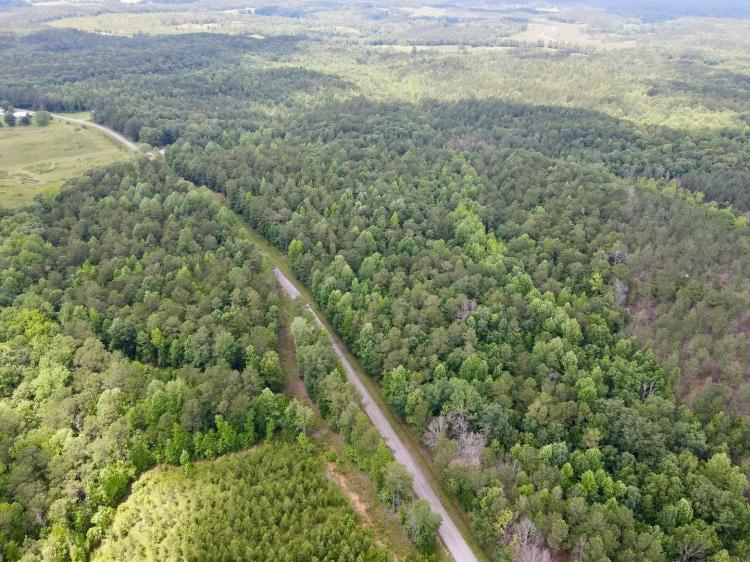 29+/- Acres with Homesites and Utilities in Clay County